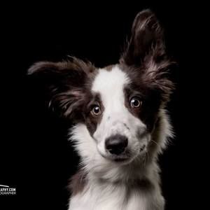 Meet your Posher, Jessrose